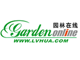 lvhua.com