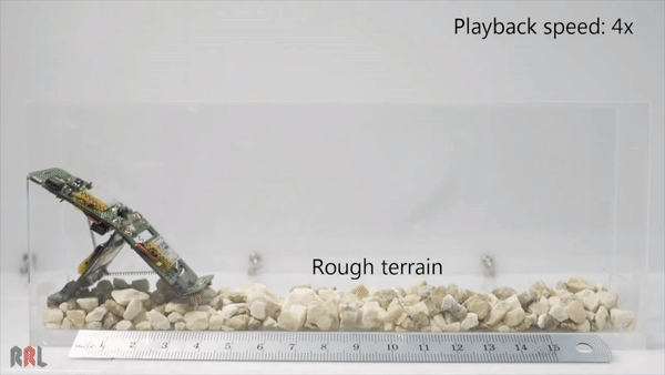 仿生蚂蚁机器人面世，分工协力搬重物，跳高跨栏都能行丨Nature