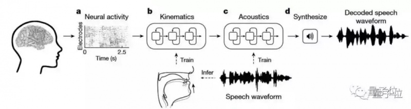 意念实时转语音！Facebook的非植入式脑机接口，解码准确率达76%